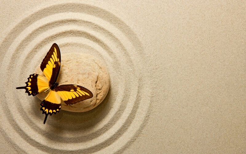 Yellow Butterfly on Stone — Beige