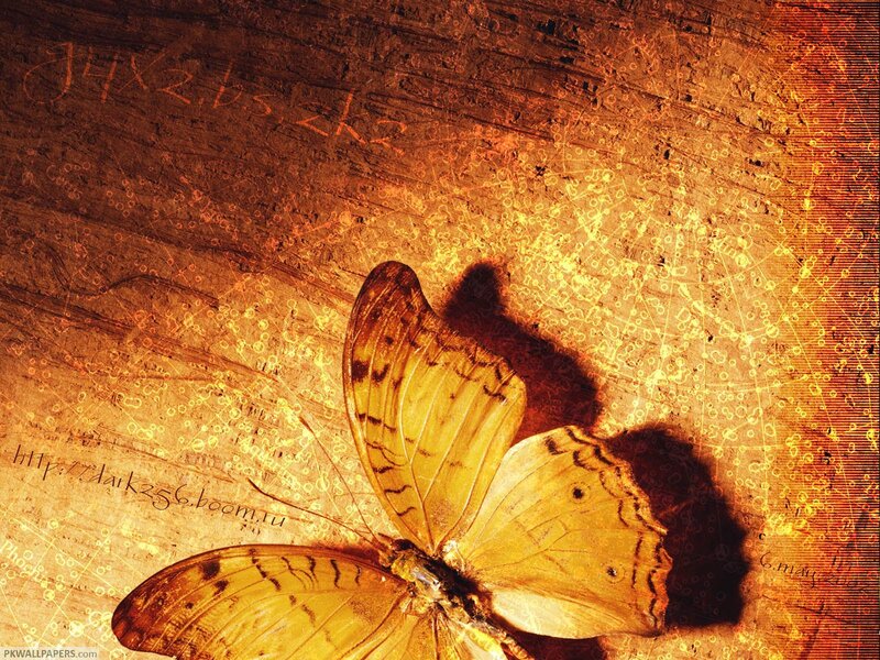 Yellow Butterfly on Wood — Brown