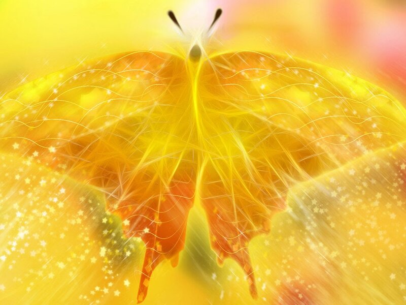 Yellow Butterfly — Radiant