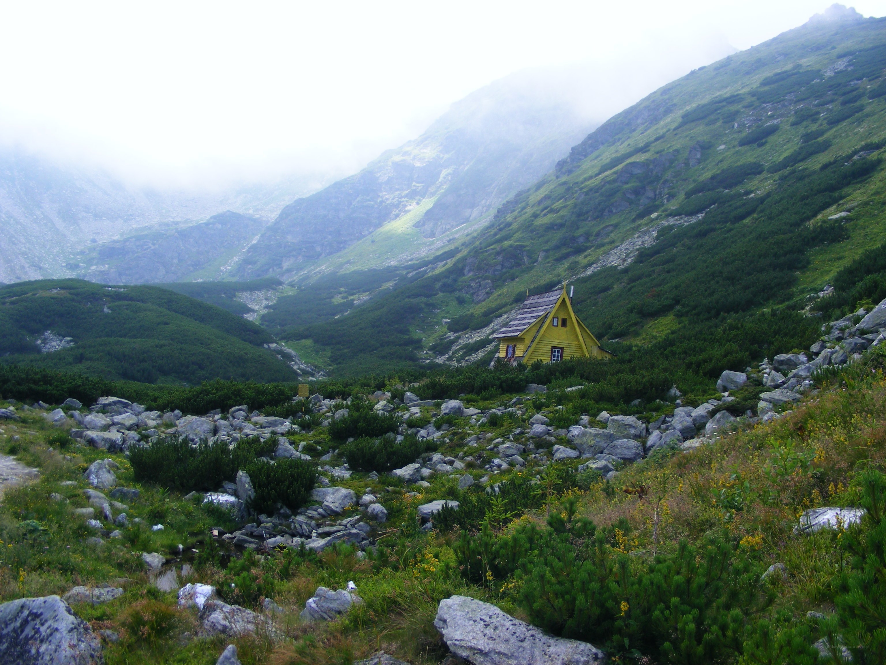 Yellow cabin in mountain valley