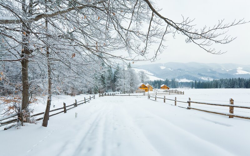 Yellow Cabins in Snow