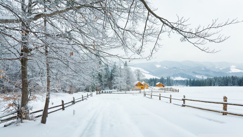 Yellow Cabins in Snow — White