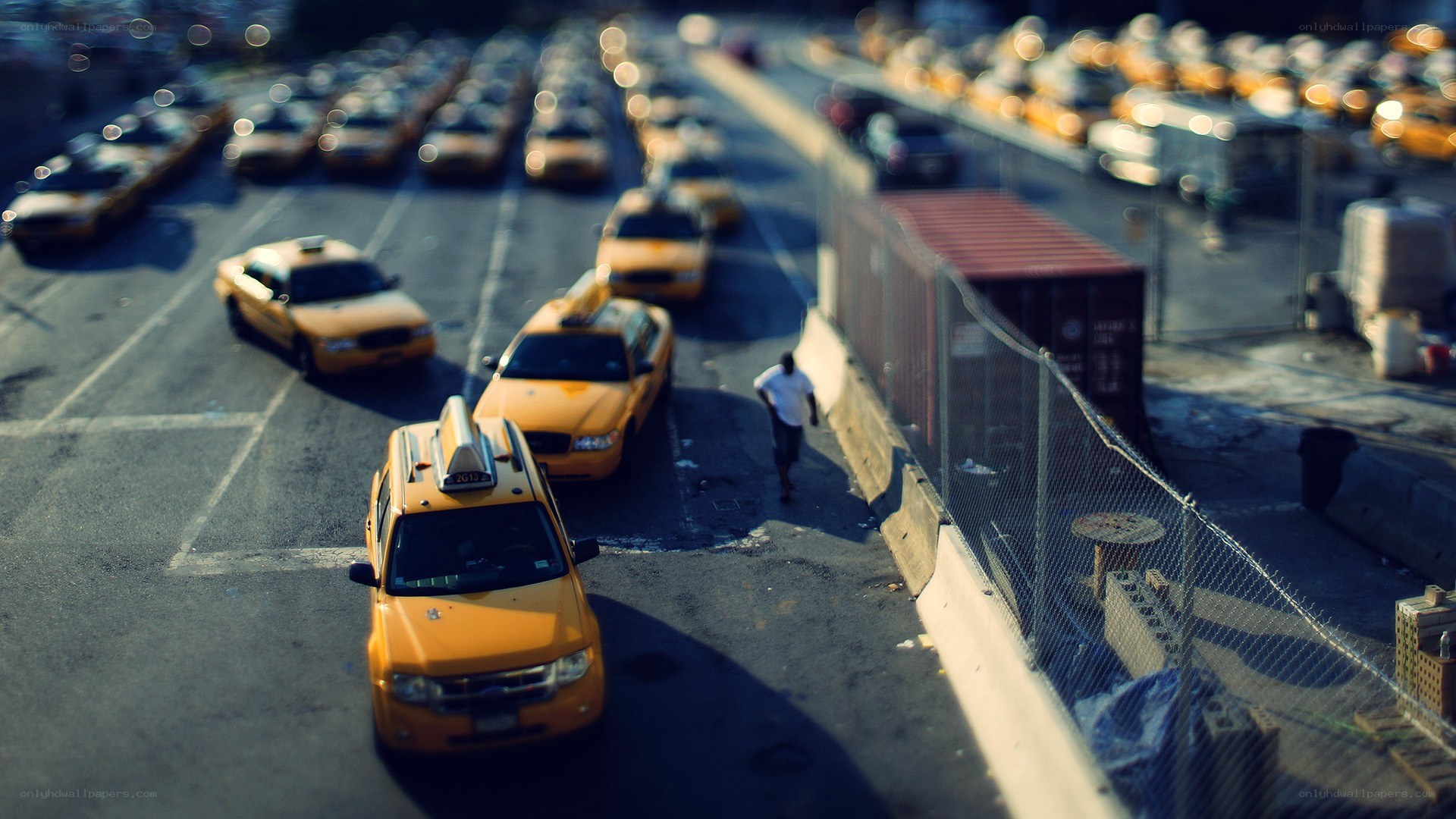 Yellow cabs in a parking lot
