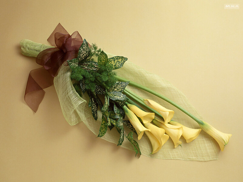 yellow calla lilies bouquet