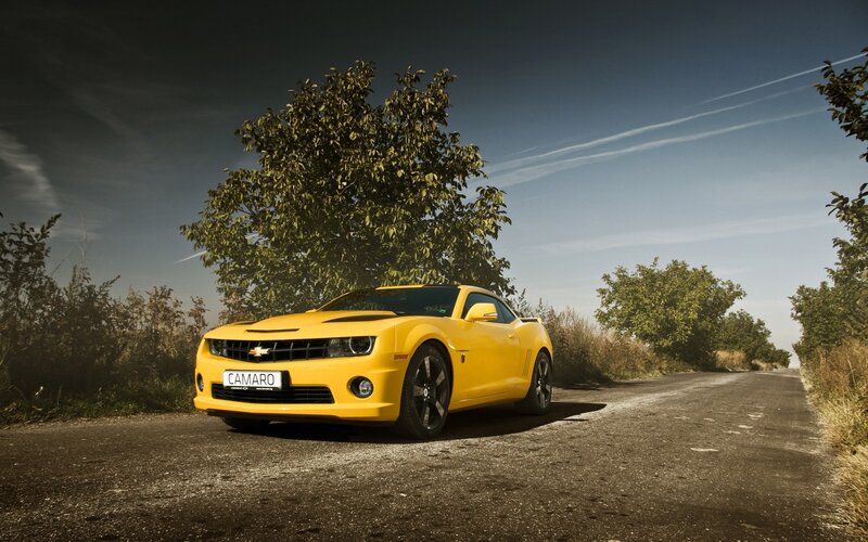 Yellow Camaro Car — Dramatic, Afternoon, Photograph, Tree