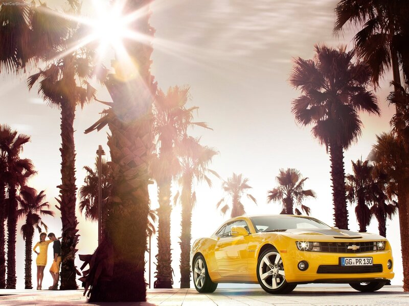 Yellow Camaro in palm grove