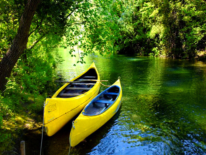 Yellow Canoes on River