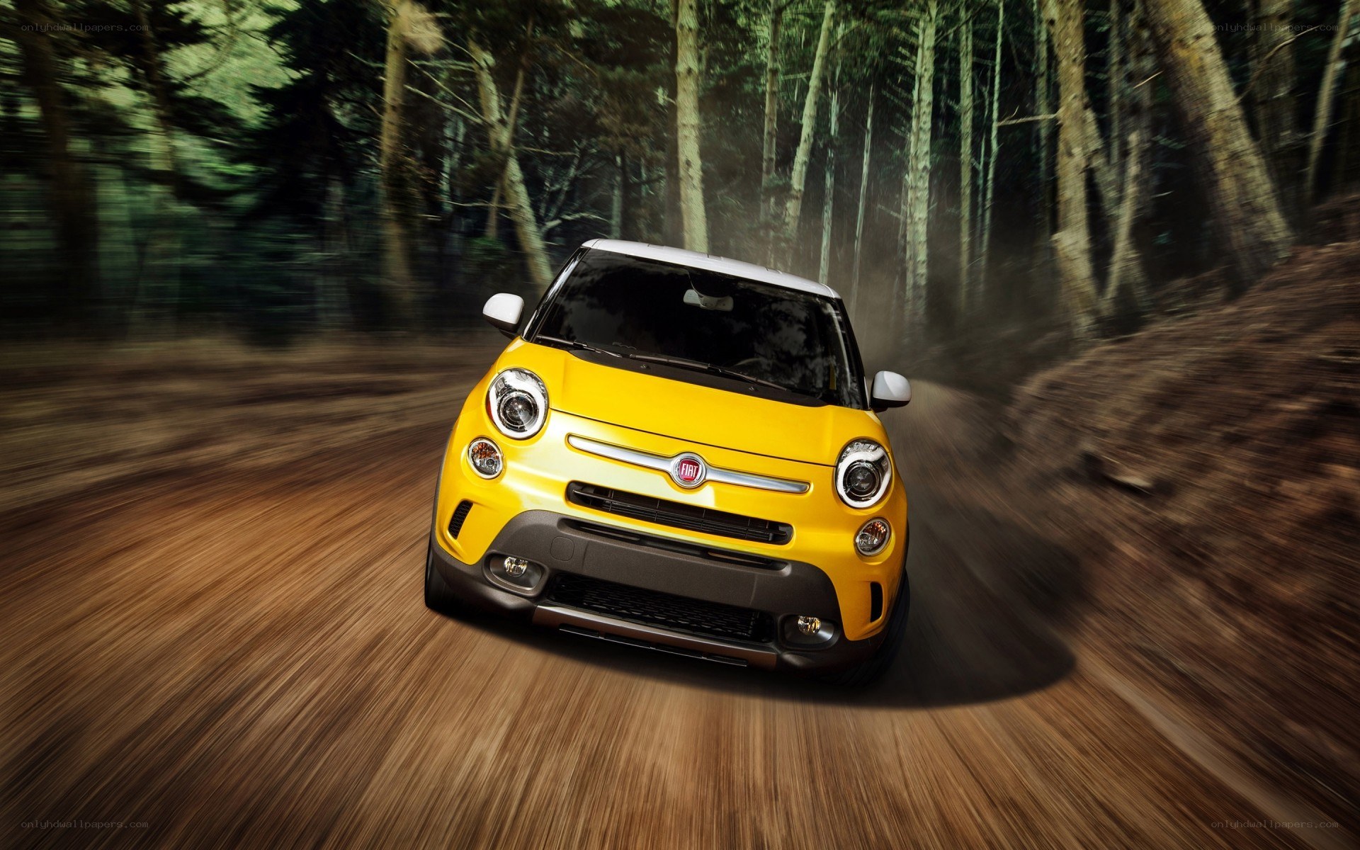 Yellow car driving on forest road