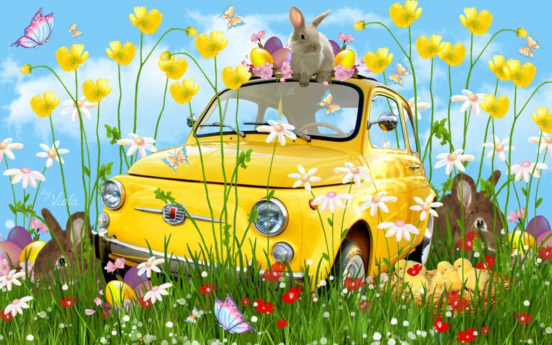 Yellow Car in Field