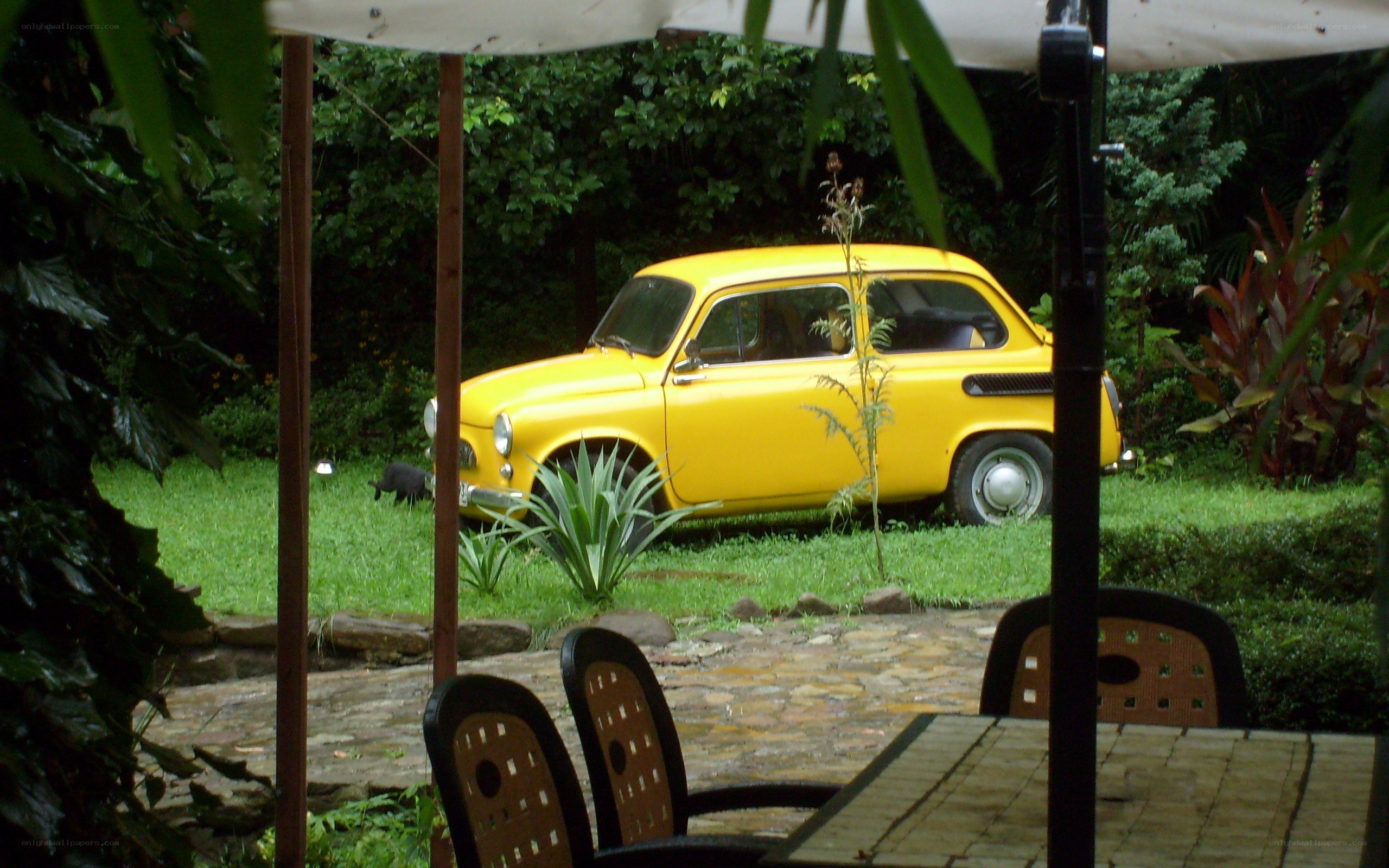 Yellow car in garden scene