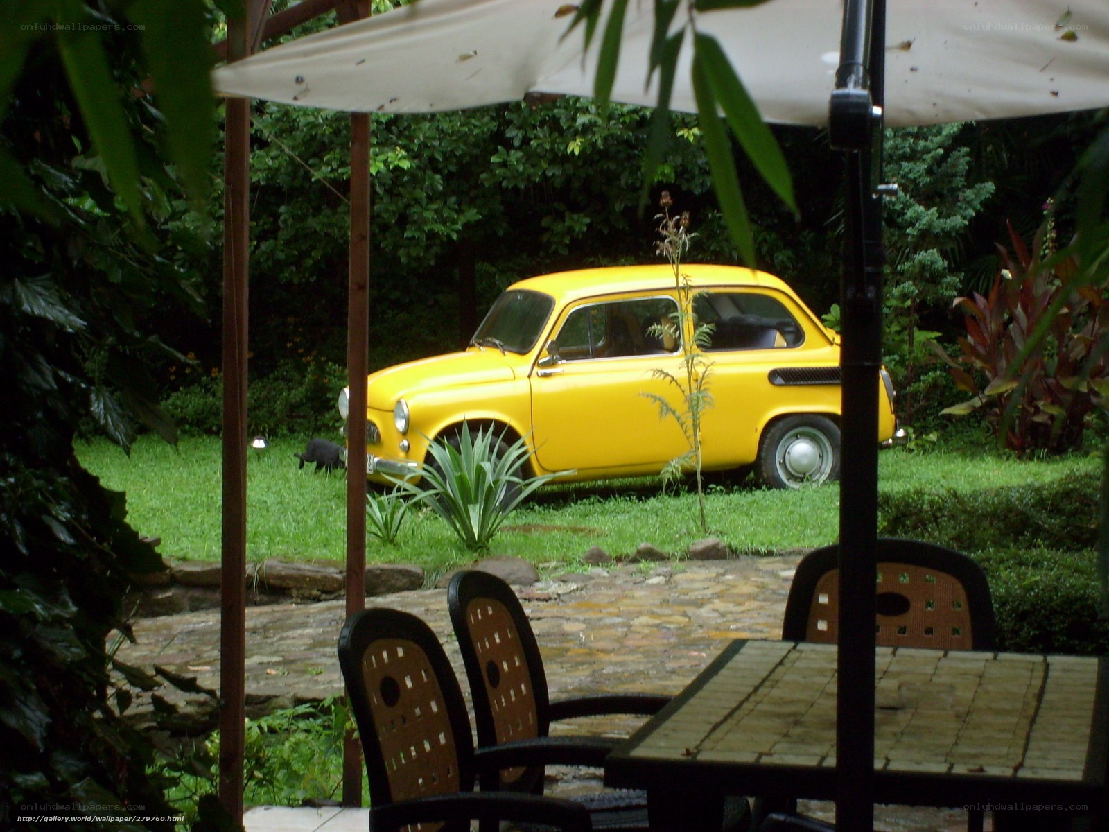 Yellow car in garden view