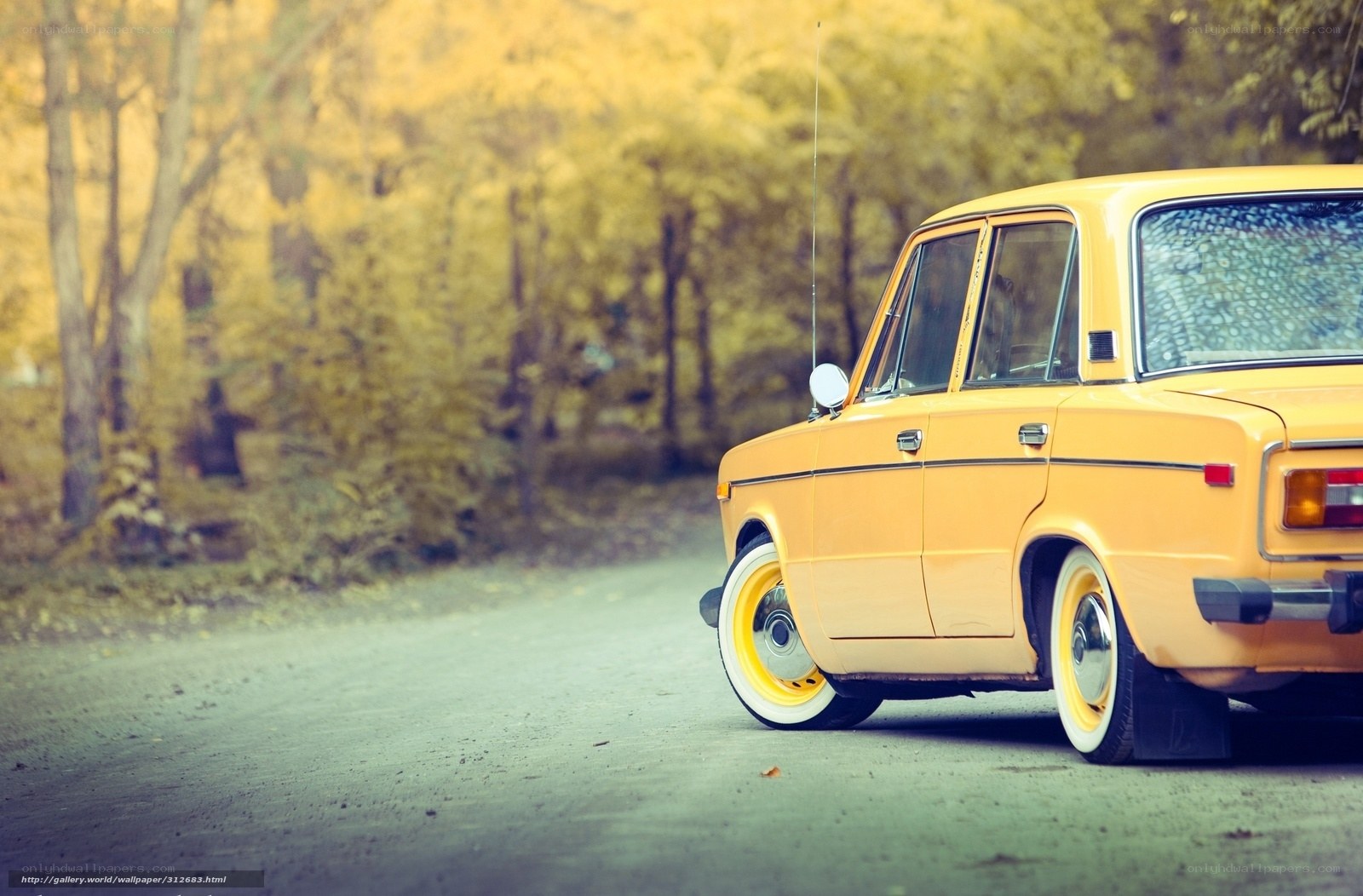Yellow car on autumn road