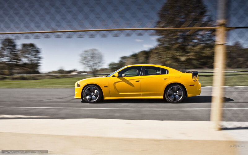 yellow car on racetrack