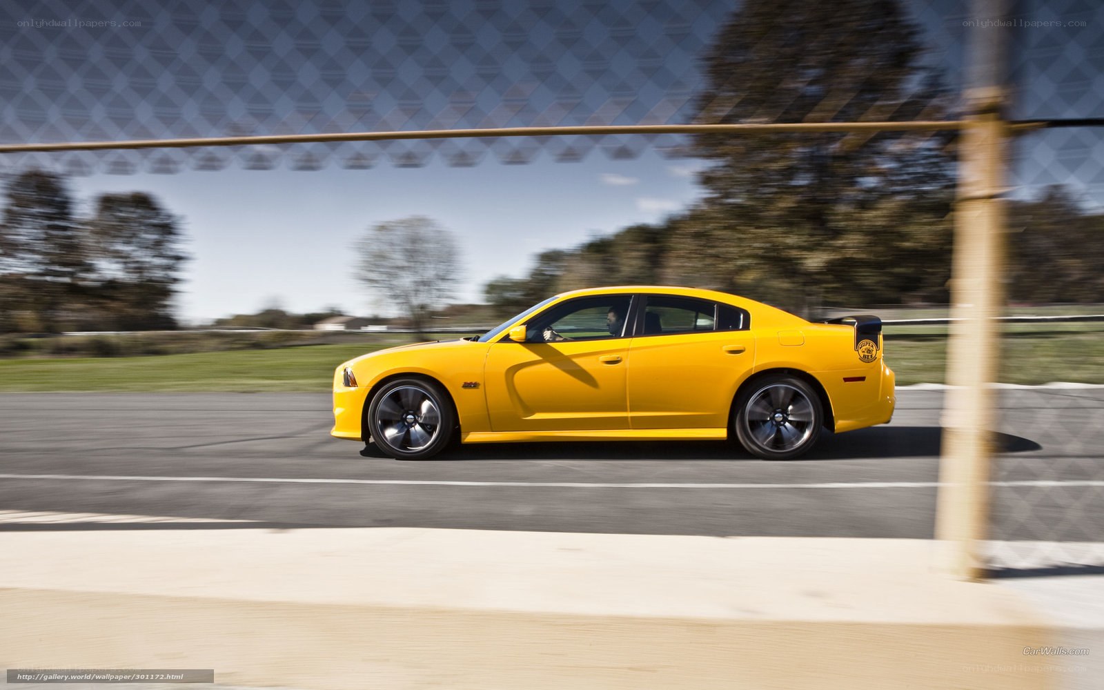 yellow car on racetrack