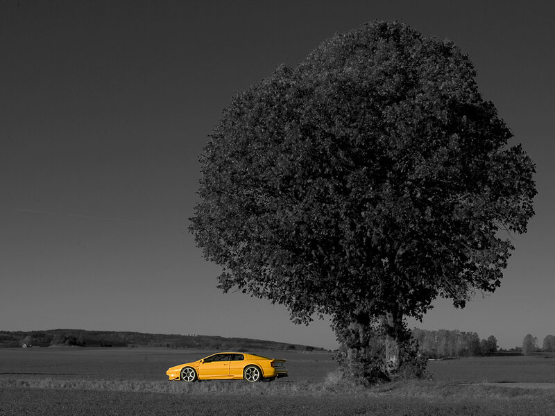 Yellow car under a tree