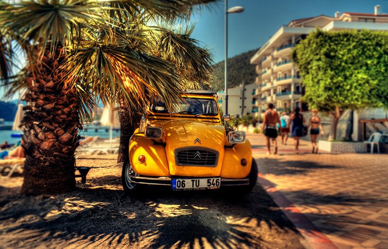 Yellow Car under Palm Tree