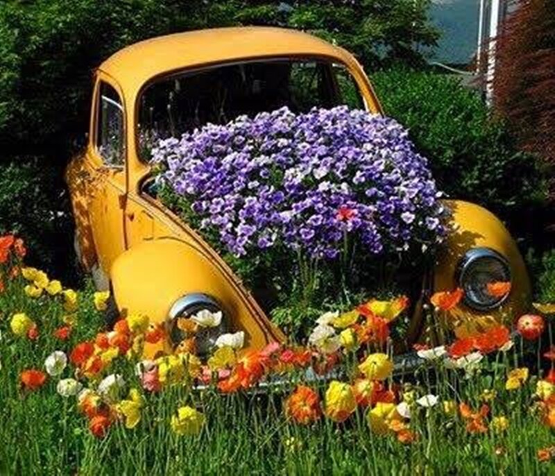Yellow Car with Flowers — Colorful