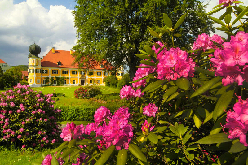 Yellow Castle with Pink Flowers