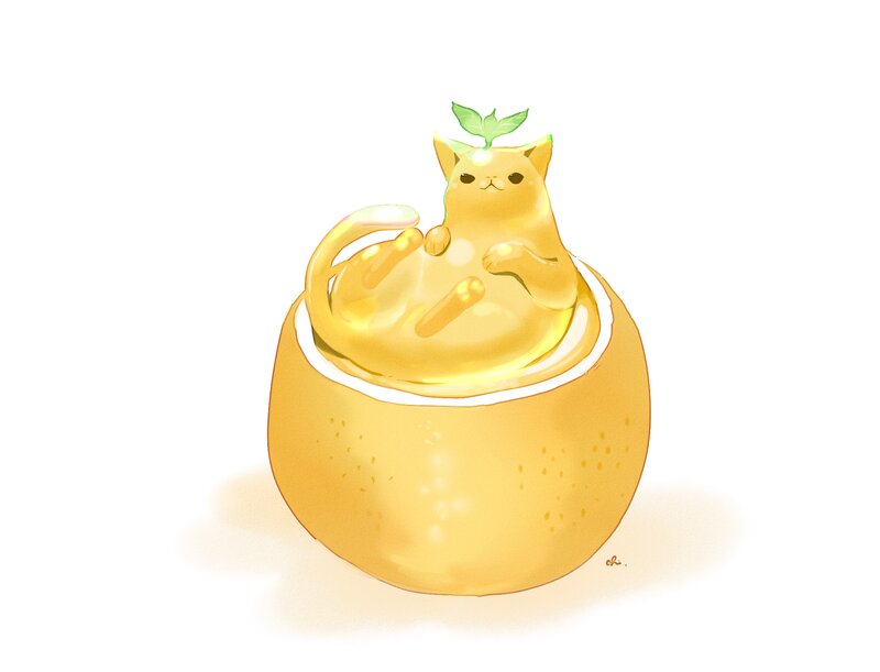 Yellow Cat in Orange