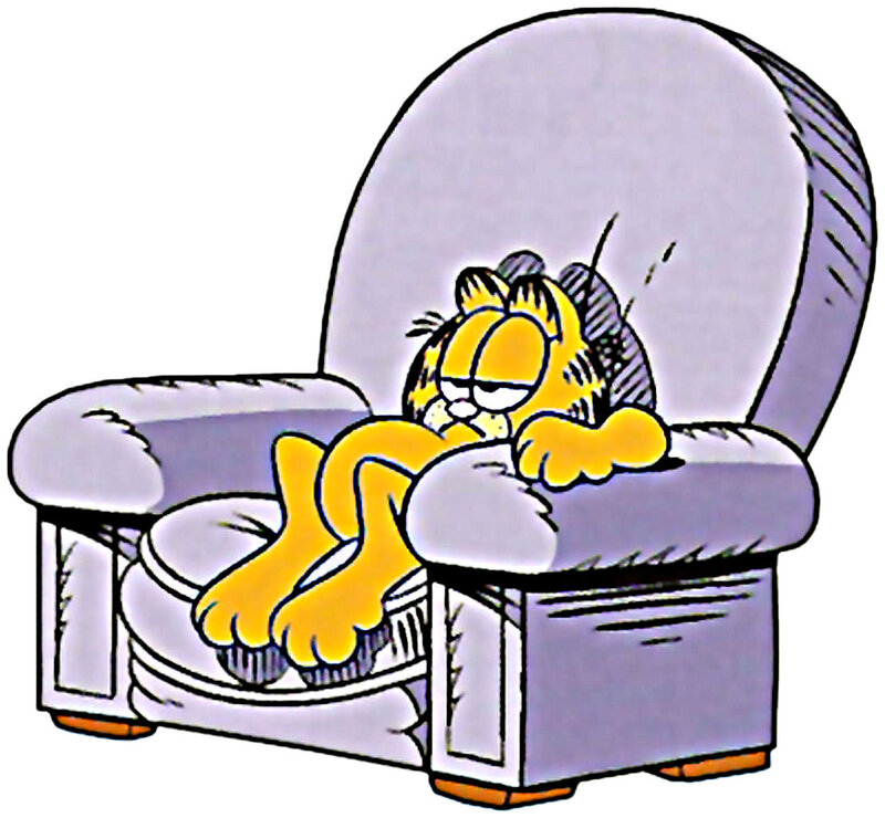 Yellow Cat on Chair