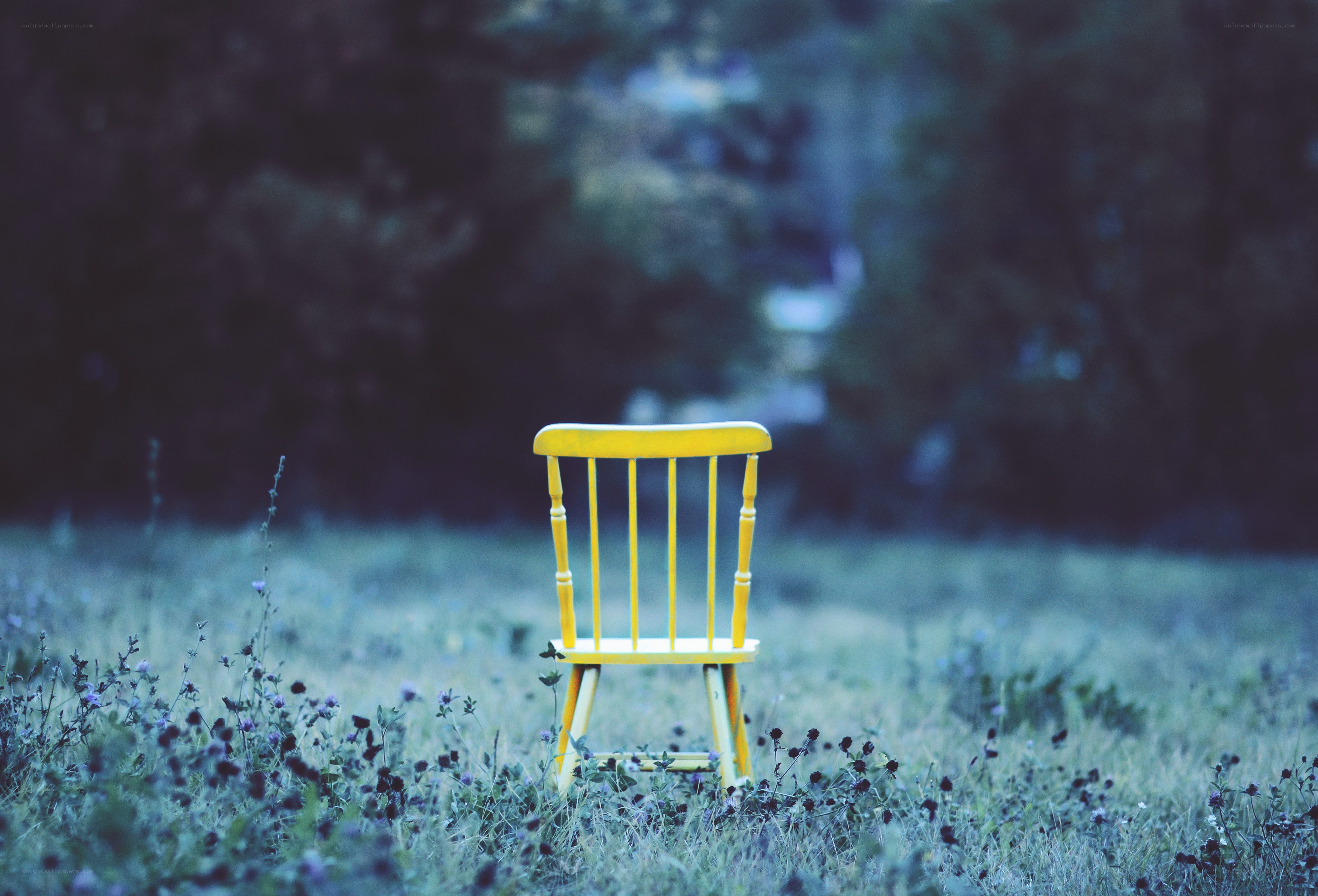 Yellow chair in a field