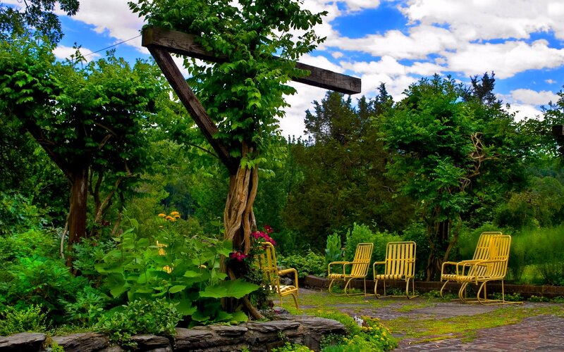 Yellow Chairs in Garden
