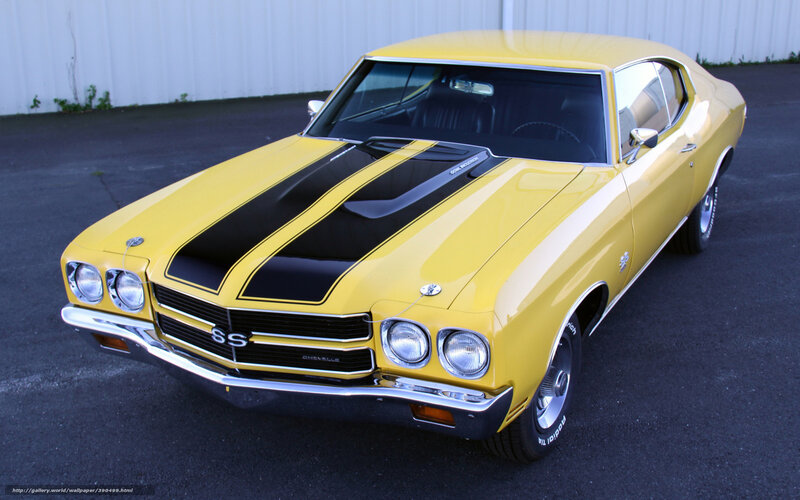 Yellow Chevelle Ss — Calm