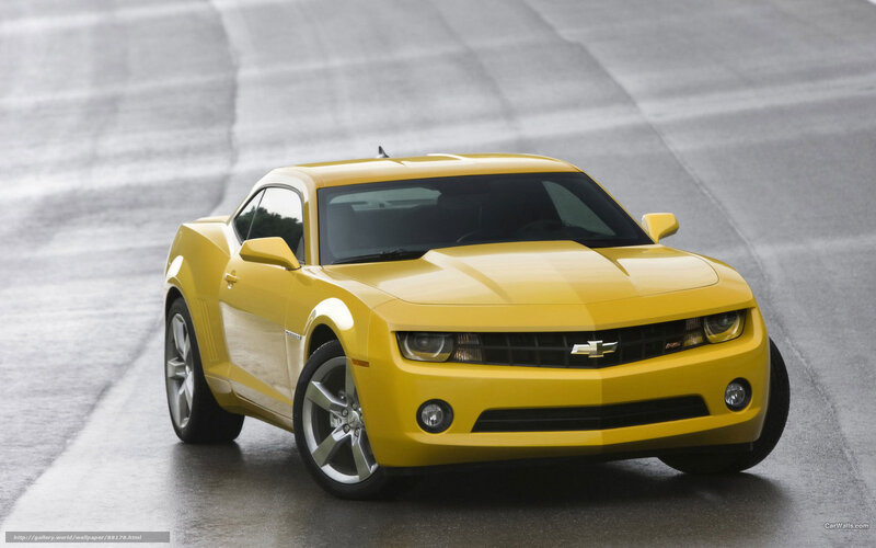 Yellow Chevrolet Camaro — Dynamic