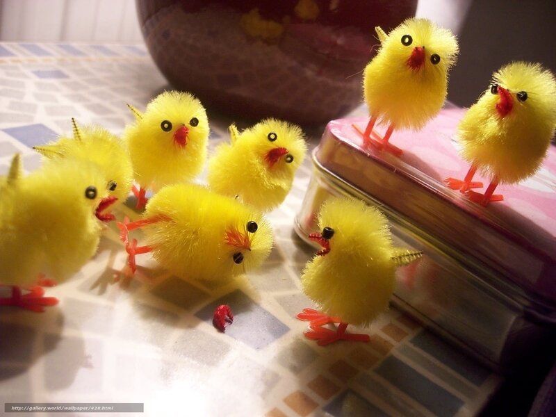 Yellow chick figurines on table