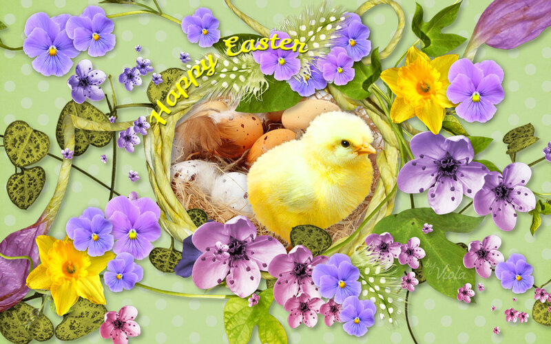 Yellow Chick in Nest — Green