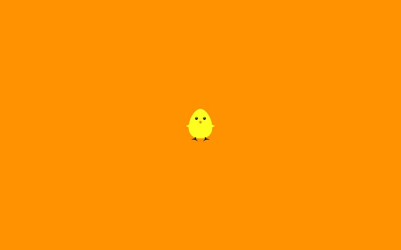 Yellow Chick on Orange