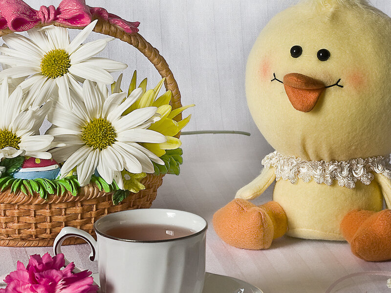 Yellow Chick Plush Toy
