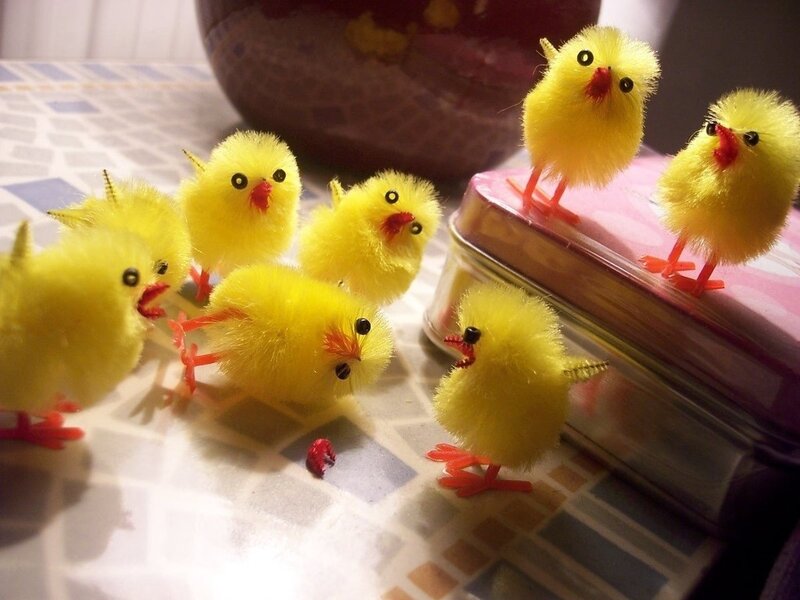 Yellow Chick Toys