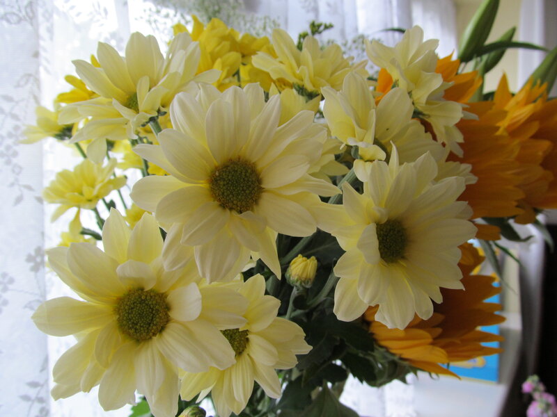 Yellow Chrysanthemum Bouquet — Calm, Morning