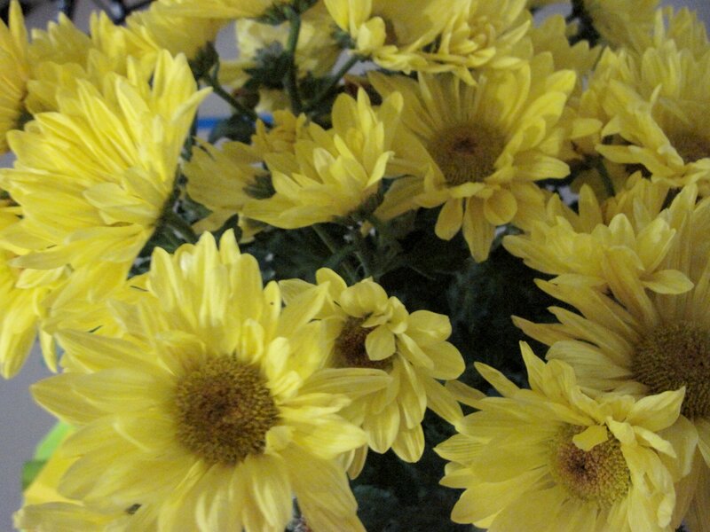 Yellow Chrysanthemum Bouquet — Calm, Photograph