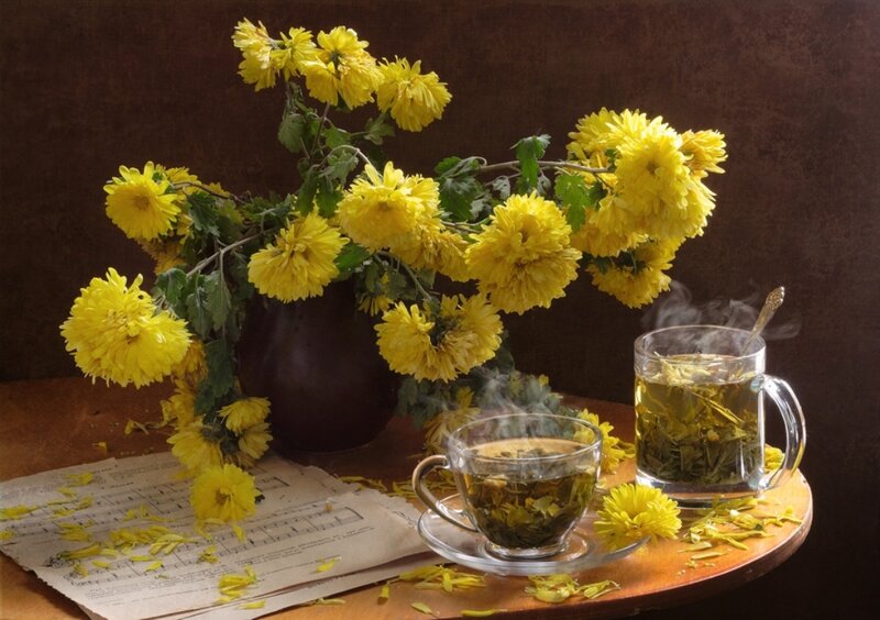 Yellow Chrysanthemums and Tea — Serene