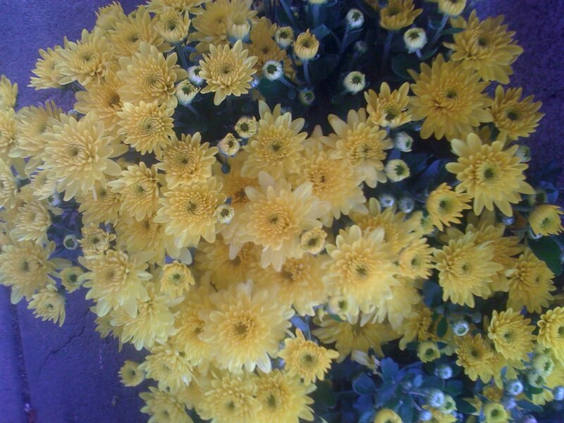 Yellow chrysanthemums in a bouquet
