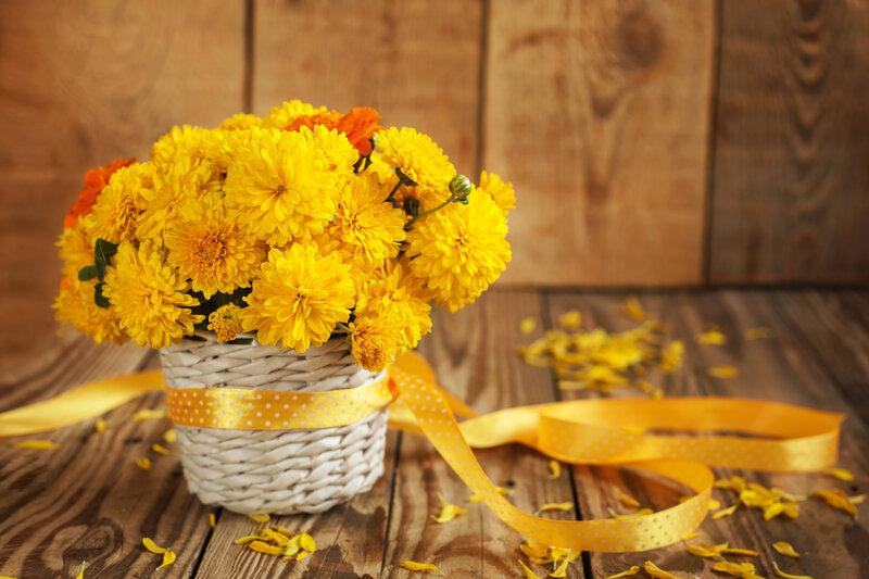 Yellow Chrysanthemums in Basket — Calm, Photograph