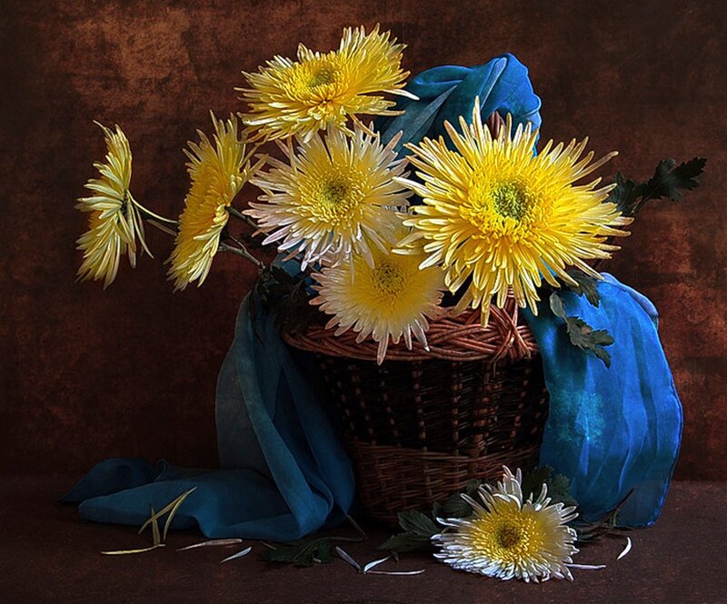 Yellow Chrysanthemums in Basket — Calm