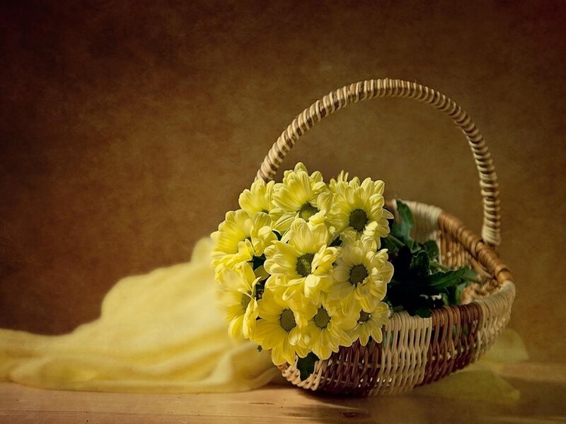 Yellow Chrysanthemums in Basket