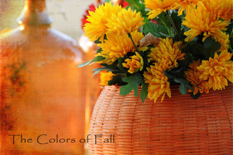 Yellow Chrysanthemums in Basket — Warm