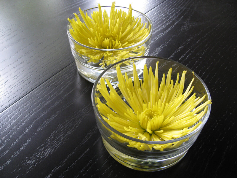 Yellow Chrysanthemums in Bowls