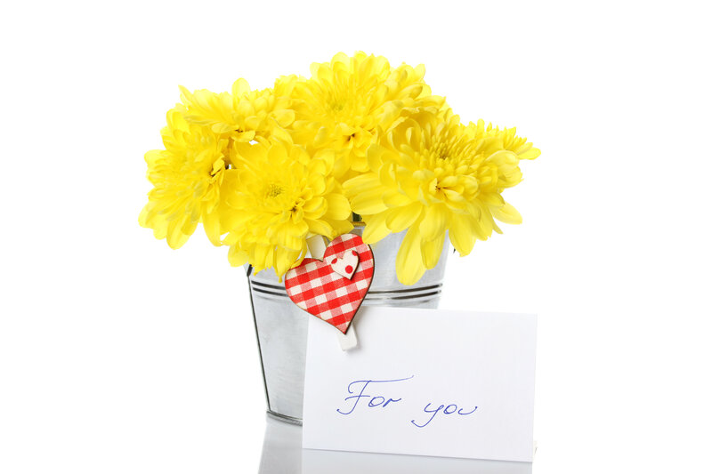 Yellow Chrysanthemums in Bucket
