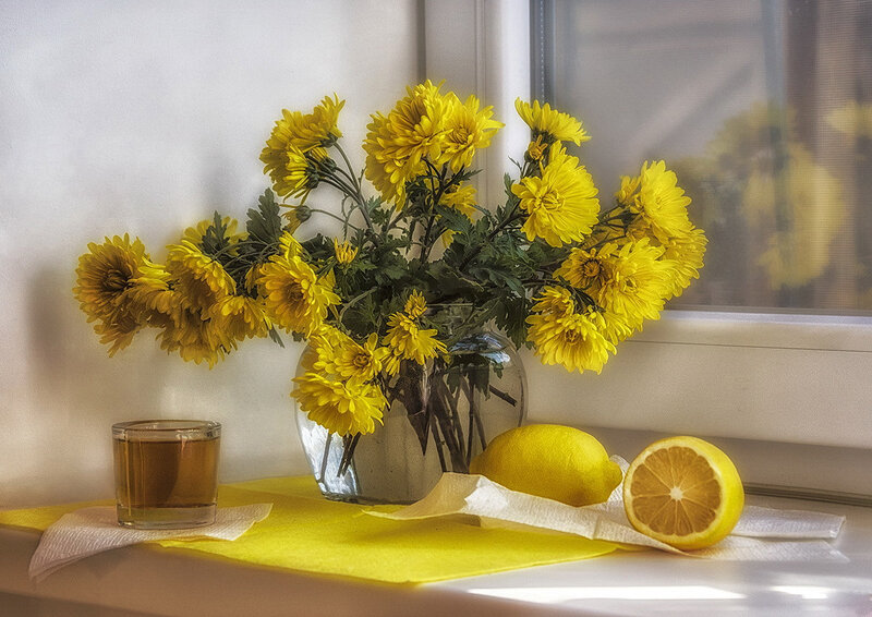 Yellow Chrysanthemums in Vase — Calm, Morning