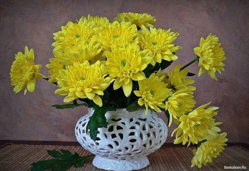 Yellow Chrysanthemums in Vase — Calm, Photograph, Table