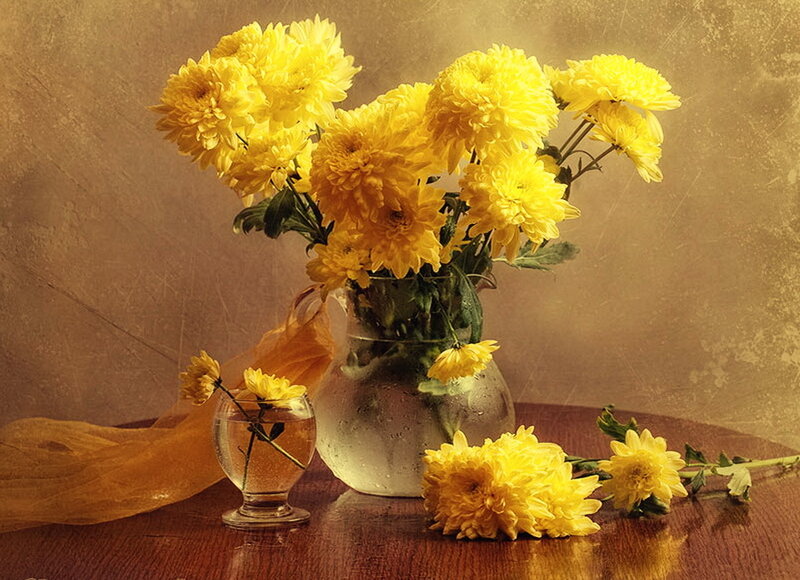 Yellow Chrysanthemums in Vase — Calm, Photograph