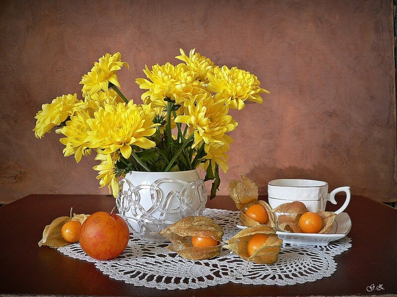 Yellow Chrysanthemums in Vase — Calm