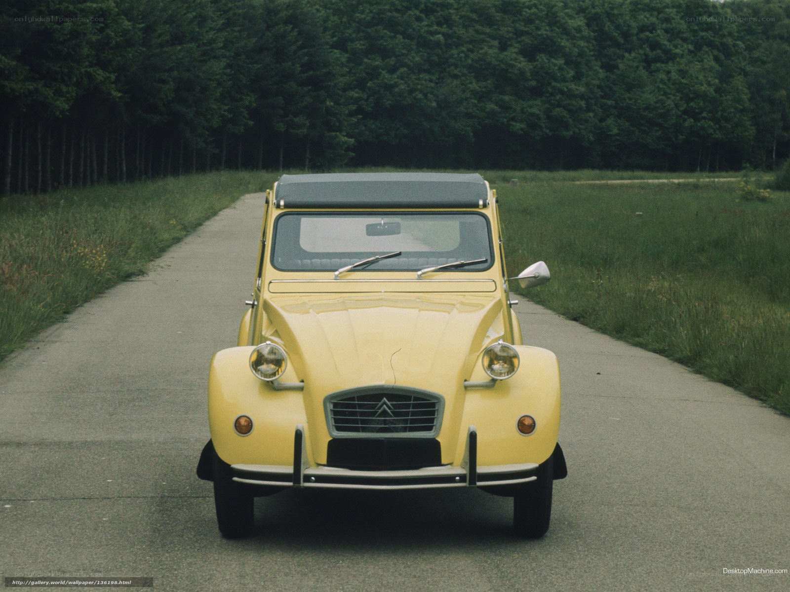 Yellow Citroen 2CV on a country road