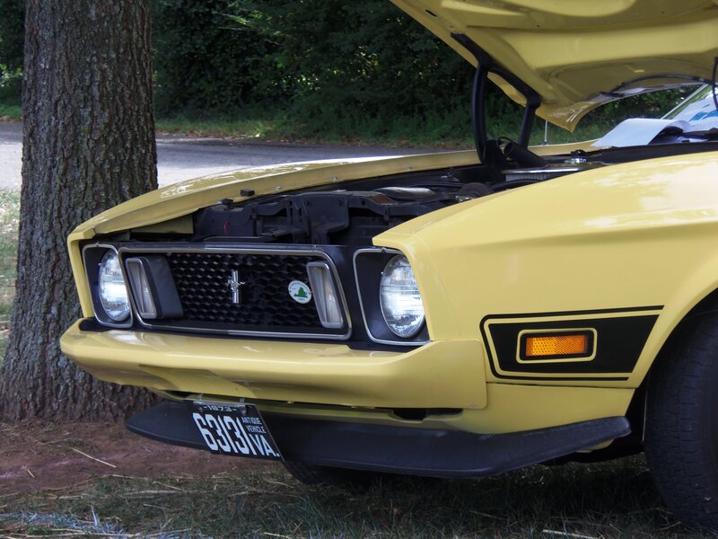 Yellow Classic Car — Calm, Afternoon, Photograph, Tree, Engine Bay