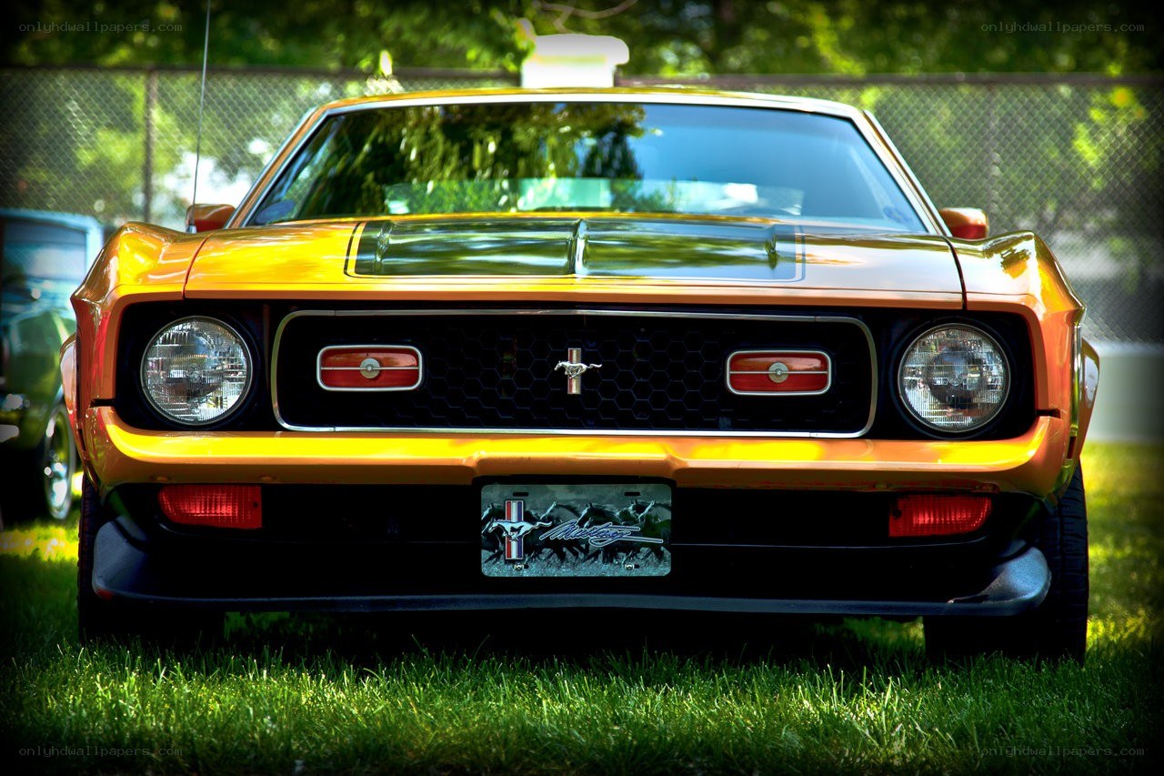 Yellow classic Mustang car